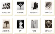 Bodies Series